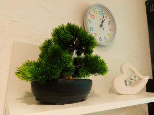 Detailaufnahme: Regal mit Bonsai und Deko-Herz, darüber hängt eine Wanduhr 
