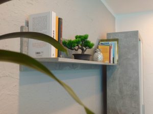 Zu sehen ist eine Nahaufnahme von einem Regal mit Büchern und Deko in Form einer silbernen Ananas und eines Bonsai-Bäumchens. Links im Vordergrund sind die Blätter einer Pflanze zu sehen